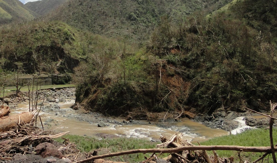 Cómo sobrevivir a desastres naturales